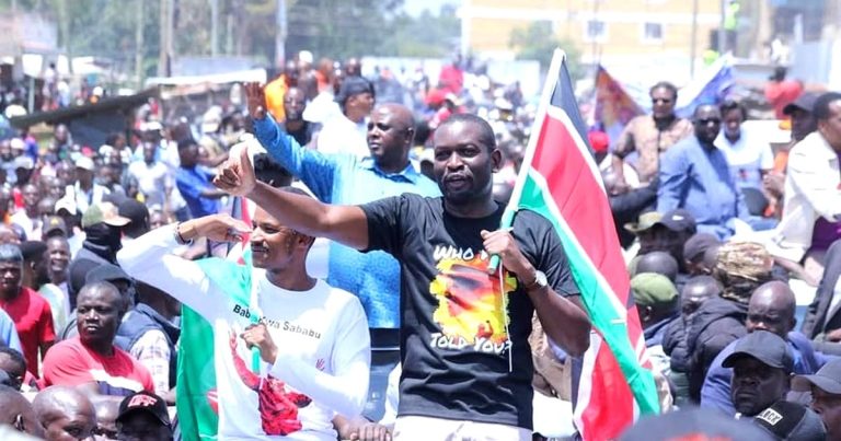 Nairobi Senator Edwin Sifuna during a past Linda Mwananchi rally.PHOTO/https://www.facebook.com/EdwinWSifuna